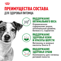 Cухой корм Royal Canin Mini Adult (МИНИ ЭДАЛТ) 8 кг